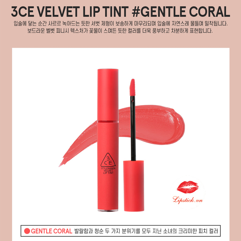 gentle-coral-3ce