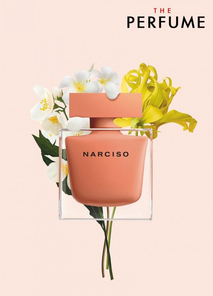 Nước hoa Narciso Ambree 50ml
