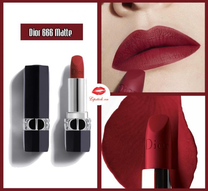 son Dior Matte 666